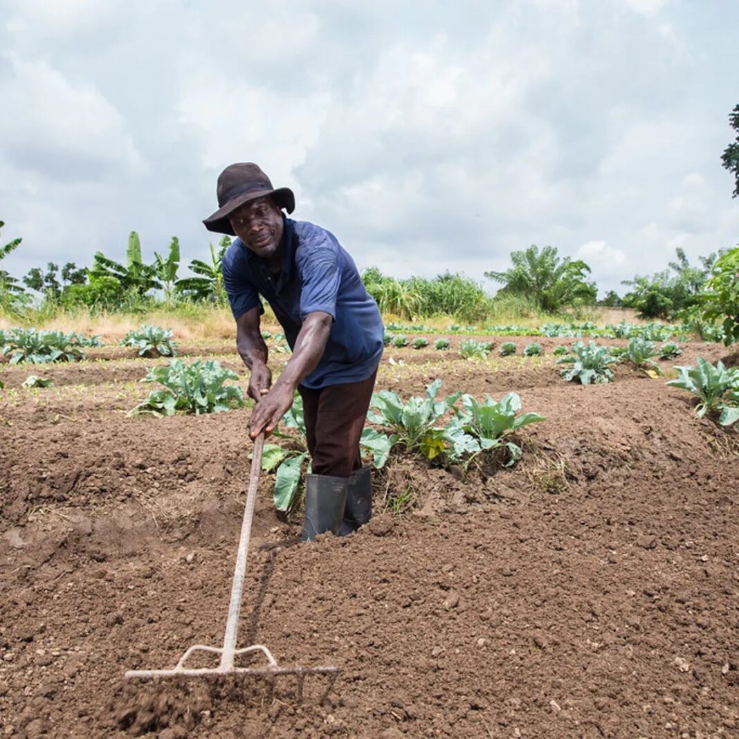 MoFA urged to protect Agricultural Lands